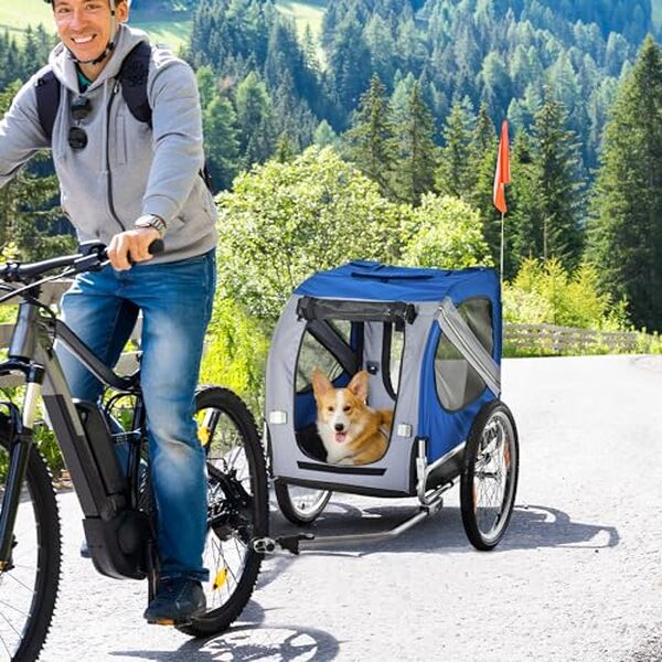Découvrez notre test complet de la remorque vélo pour chien PawHut : praticité, robustesse et avis détaillé pour transporter votre animal en toute sécurité. 