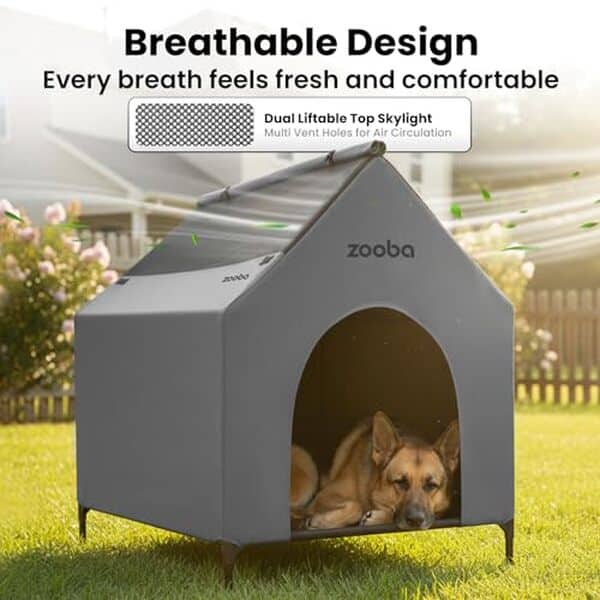 Découvrez notre test complet de l'abri de jardin Zooba 91 cm : robustesse, facilité d'entretien et qualité de construction pour votre extérieur. 