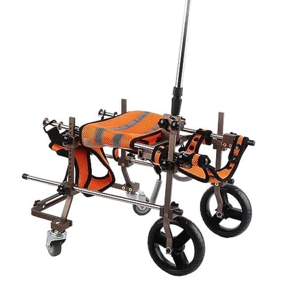 Découvrez notre test complet du fauteuil roulant HEEPDD CJC08 : confort optimal, résistance exceptionnelle et mobilité retrouvée pour votre chien handicapé ou âgé. 