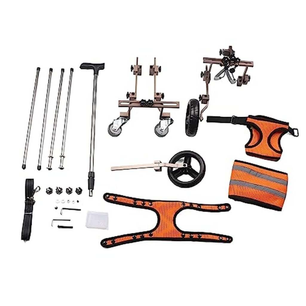 Test du fauteuil roulant pour chien HEEPDD CJC08 : confort et résistance