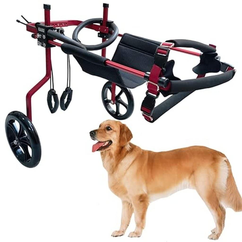 Test du fauteuil roulant réglable KAJILE pour chien taille XXL-3