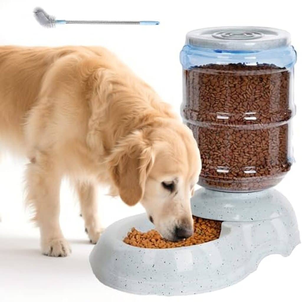 Test mangeoire automatique pour chien : grande capacité 10L