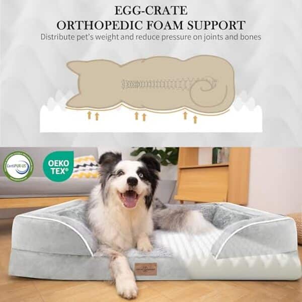 Découvrez notre test complet du lit orthopédique Comfort Expression XXL : ergonomie, durabilité et bien-être pour les grands chiens. Avis détaillé et conseils d'achat. 