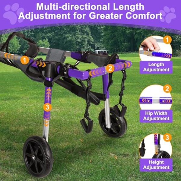 Découvrez notre test complet du fauteuil roulant pour chien extra XL : caractéristiques, avantages et avis pour la mobilité de votre animal. 