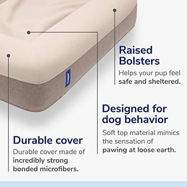 Découvrez notre test complet du lit pour chien Casper en mousse à mémoire de forme : confort, qualité et avis détaillé pour le bien-être de votre animal. 