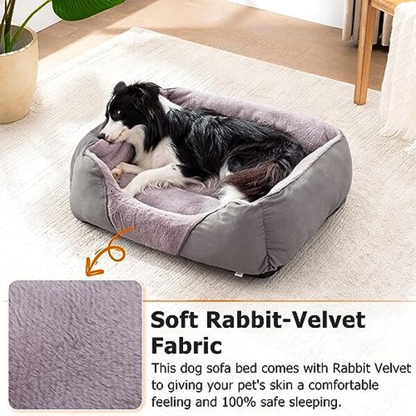 Découvrez notre test complet du lit orthopédique MIXJOY pour chiens de grande taille : confort, durabilité et qualité analysés en détail pour votre compagnon.