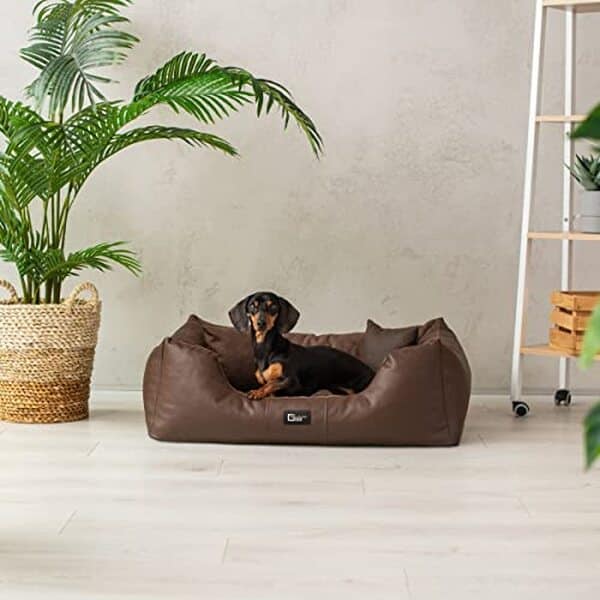 Découvrez notre test complet du lit orthopédique Eden en cuir écologique pour chien : confort, durabilité et design pour votre animal.
