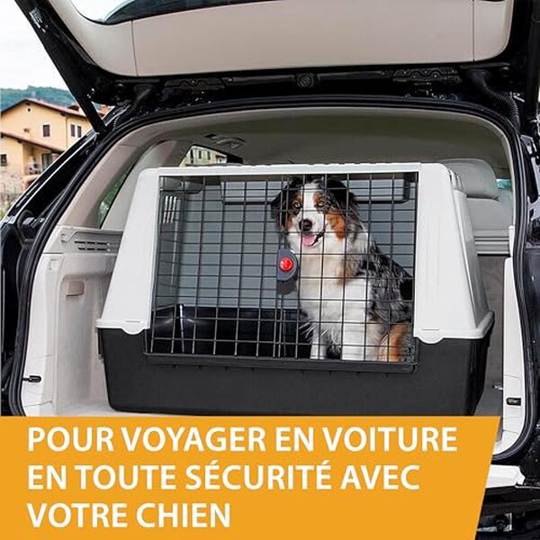 Découvrez notre test complet du panier Ferplast Atlas Car 100 : sécurité, confort et praticité pour voyager en voiture avec votre chien en toute tranquillité.