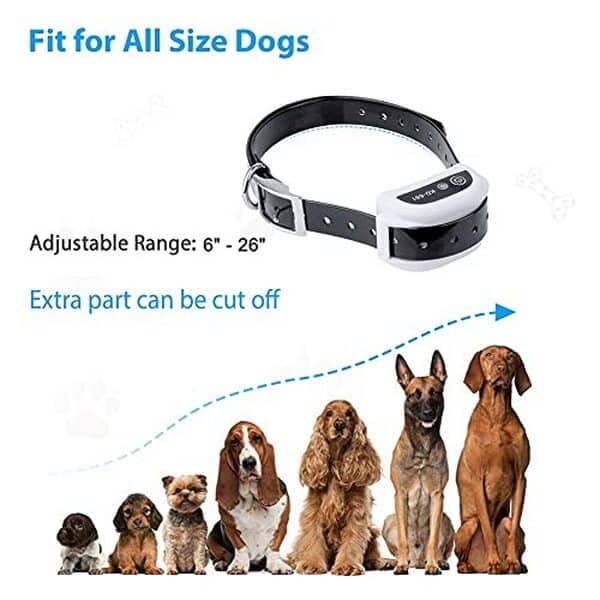 Découvrez notre test complet de la clôture électronique étanche n-x kd661 : efficacité, portée, prix et avis des utilisateurs de ce système sans fil innovant pour chiens. 