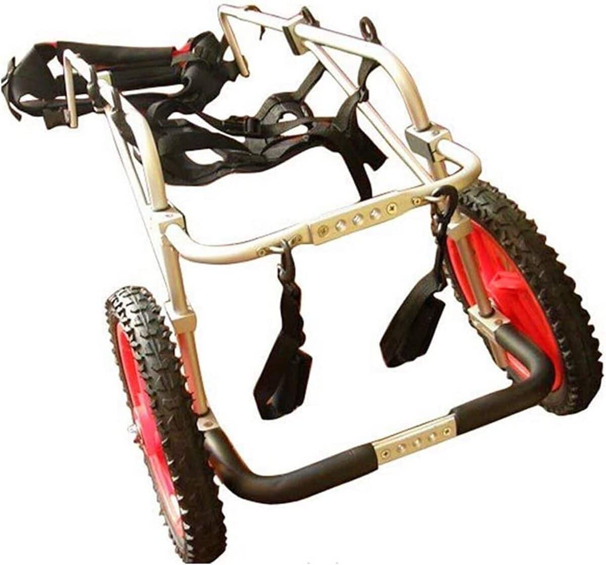 Test du chariot léger HWhome pour réadaptation des petits chiens