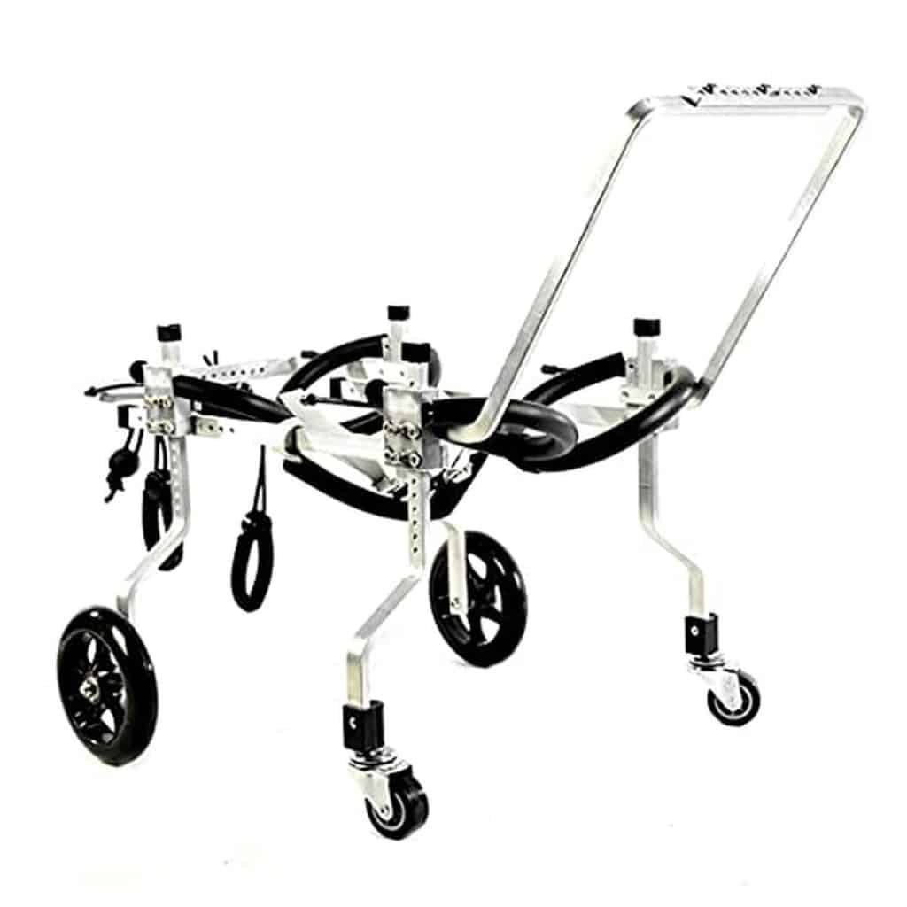 Test du fauteuil roulant pour chien Kroity, chariot de rééducation ajustable