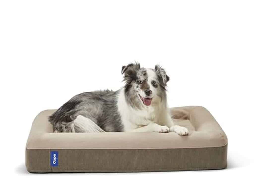 Test du lit pour chien Casper en mousse à mémoire de forme
