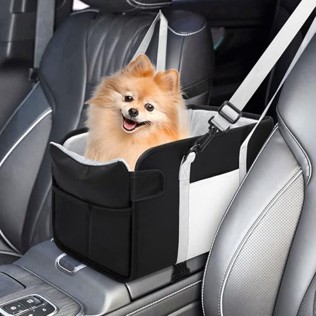 Test du siège auto pour chiens de petite taille : console portable tout-en-un