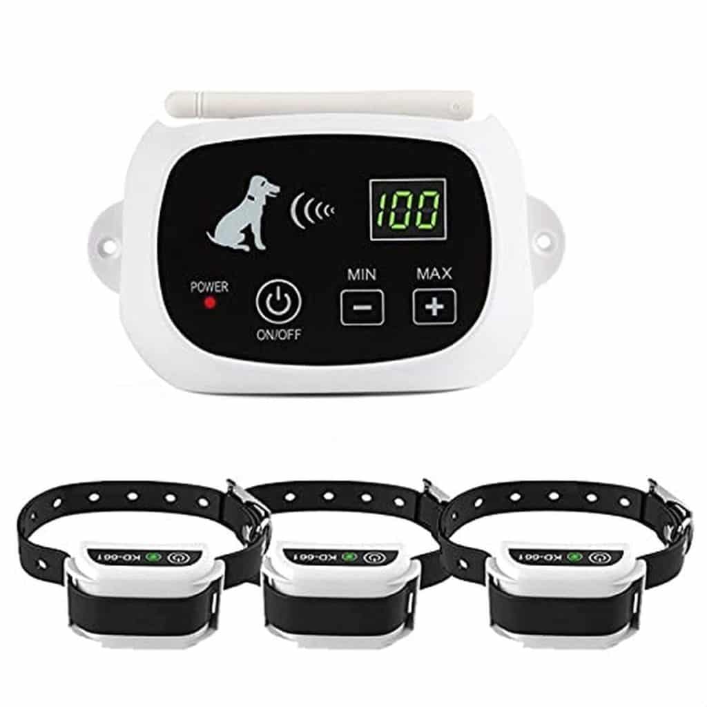 Test du système QXbecky KD-661 : clôture sans fil pour chiens