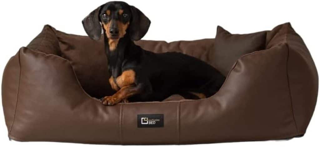 Test : lit orthopédique en cuir écologique Eden pour chien