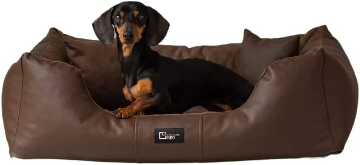 Test : lit orthopédique en cuir écologique Eden pour chien