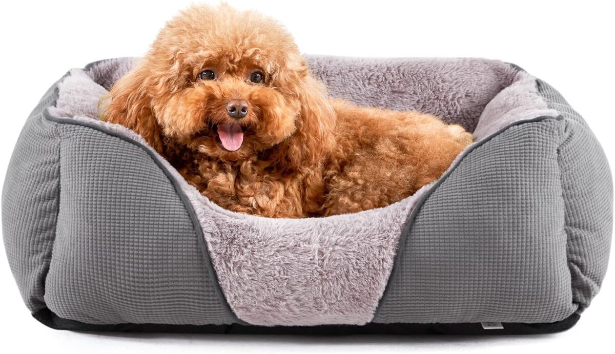 Test : lit orthopédique MIXJOY pour chien de grande taille