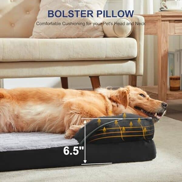 Découvrez notre test détaillé du lit orthopédique Furtime XL Plus : confort, qualité et durabilité pour les grands chiens. Avis, avantages et caractéristiques. 