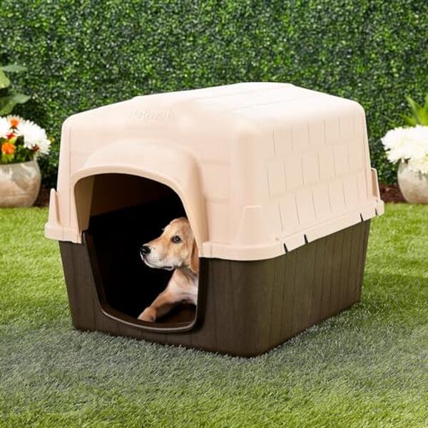 Découvrez notre test détaillé de la niche pour chien Petmate 3 taille M : confort, durabilité et qualité pour votre compagnon à quatre pattes. 