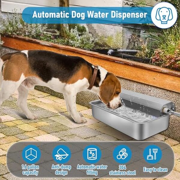 Découvrez notre test complet du distributeur d'eau automatique 6l pour animaux : fonctionnalités, avantages et conseils pour bien choisir votre fontaine. 