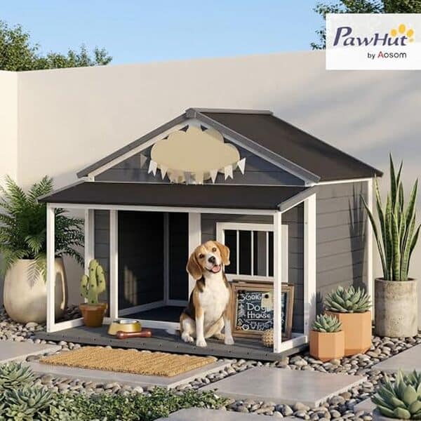 Découvrez notre test détaillé de la niche PawHut en bois massif pour petits animaux : qualité, confort et durabilité pour vos rongeurs et lapins.