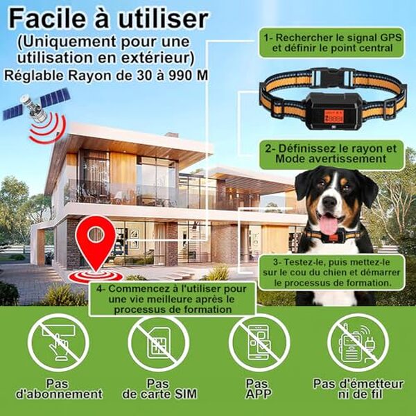 Découvrez notre test complet du collier GPS anti-fugue pour chien : performance, innovation et comparatif des meilleures marques pour sécuriser votre animal. 