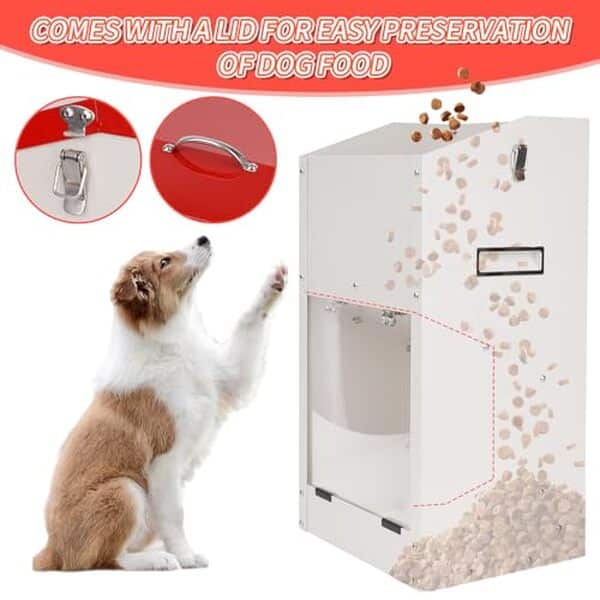 Découvrez notre test détaillé de la mangeoire automatique HHNIULI grande capacité : performances, avantages et conseils d'utilisation pour votre animal de compagnie. 