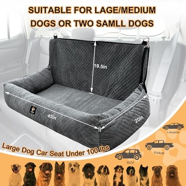 Découvrez notre test complet du siège auto Gearking pour chiens jusqu'à 45 kg : confort, amovibilité et facilité de nettoyage pour vos trajets en voiture.