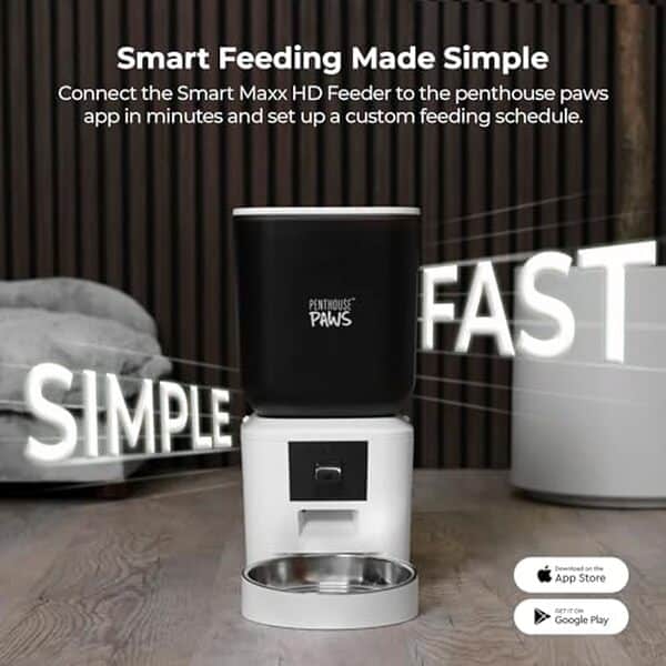 Découvrez notre test complet de la mangeoire connectée Penthouse Paws Smart Maxx HD avec caméra intégrée et contrôle à distance pour votre chat.