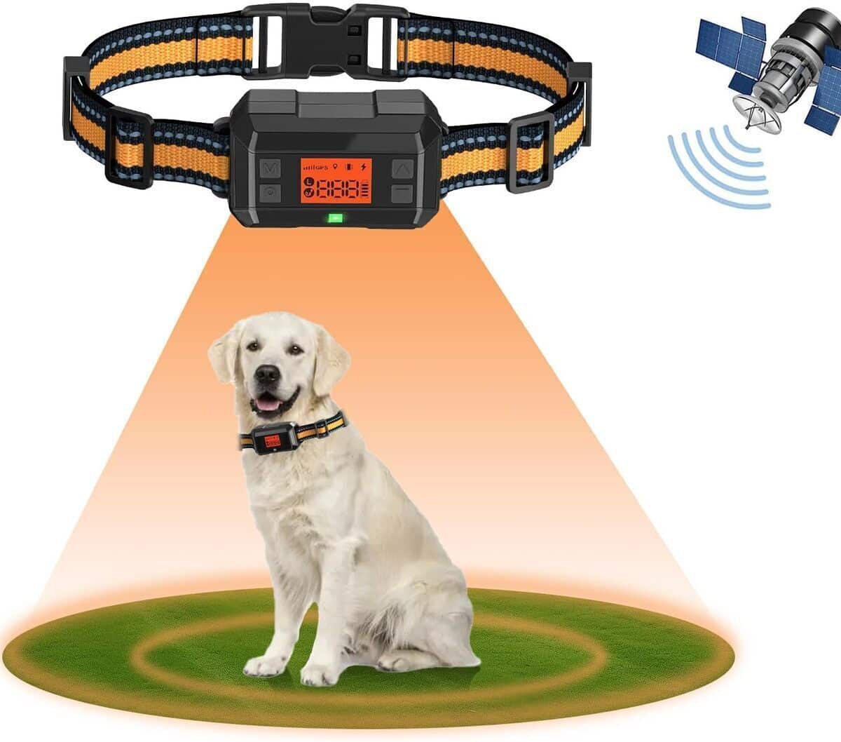 Test du collier GPS anti-fugue pour chien : performance et innovation