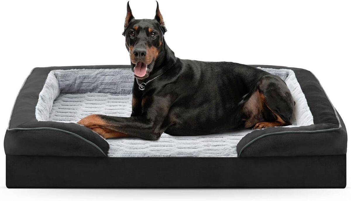 Test du lit orthopédique Furtime XL Plus pour grands chiens