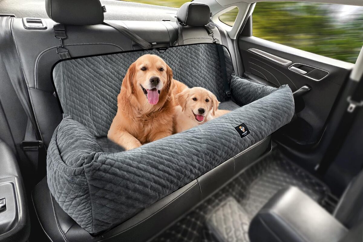 Test Gearking : siège auto pour grand chien 45 kg maxi, amovible et lavable