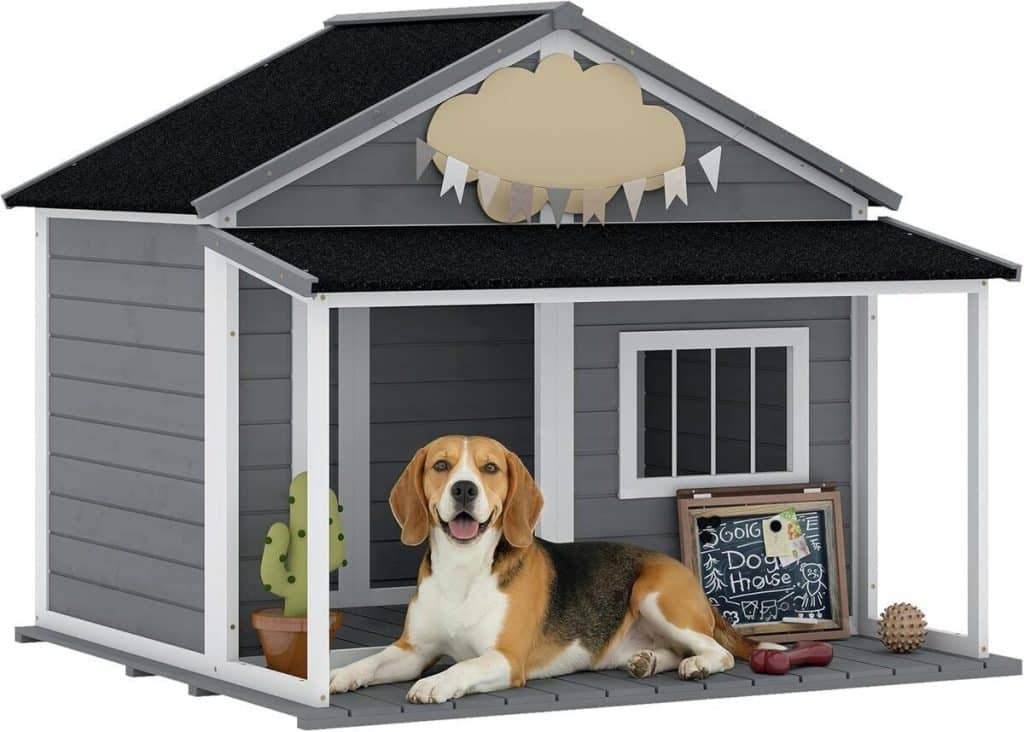 Test niche PawHut en bois massif pour petits animaux