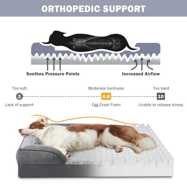 Découvrez notre test complet du lit orthopédique INVENHO pour chien XXL : qualité, durabilité et confort pour votre grand chien. 