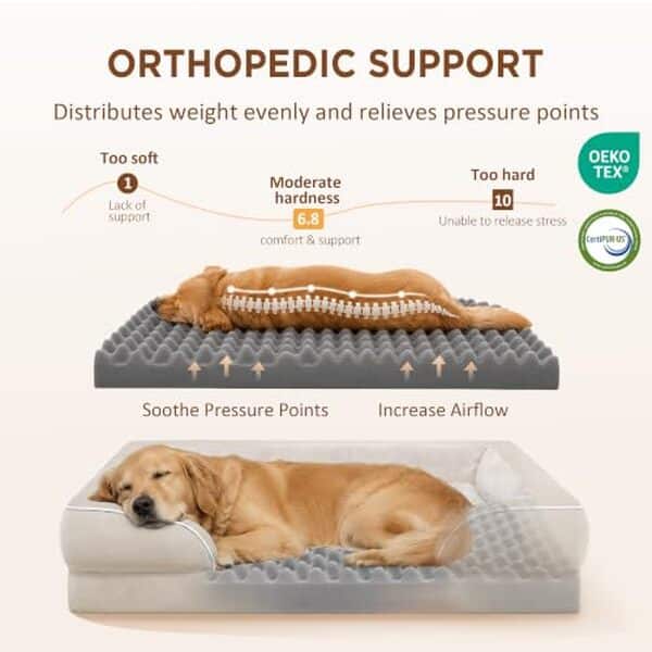 Découvrez notre test complet du lit orthopédique Comfort Expression XXL pour chien : qualité, confort et durabilité pour votre grand compagnon. 