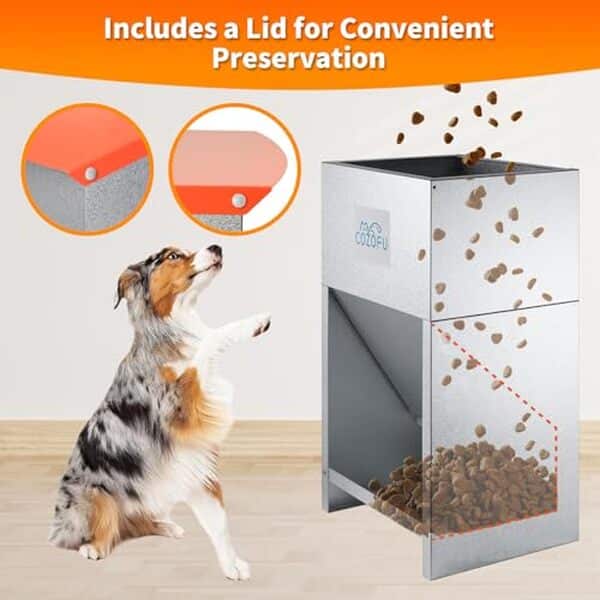 Découvrez notre test détaillé de la mangeoire automatique COZOFU pour chiens : fonctionnalités, avantages et verdict final pour bien nourrir votre animal.