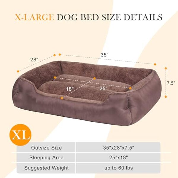 Découvrez notre test complet du meilleur lit lavable pour grands chiens. Confort, durabilité et facilité d'entretien pour votre compagnon. 