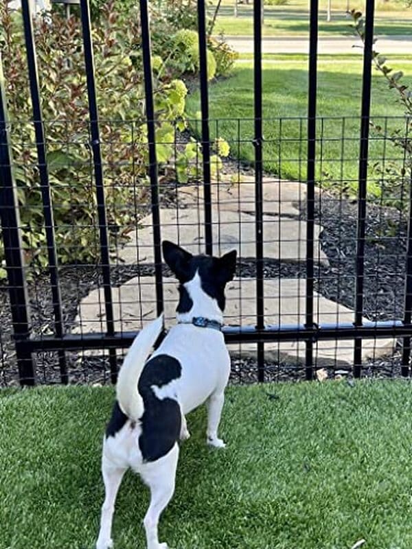Découvrez notre test complet du kit de clôture Dog Proofer de 30, 5 m : installation, avantages et avis pour sécuriser votre chien en toute tranquillité. 