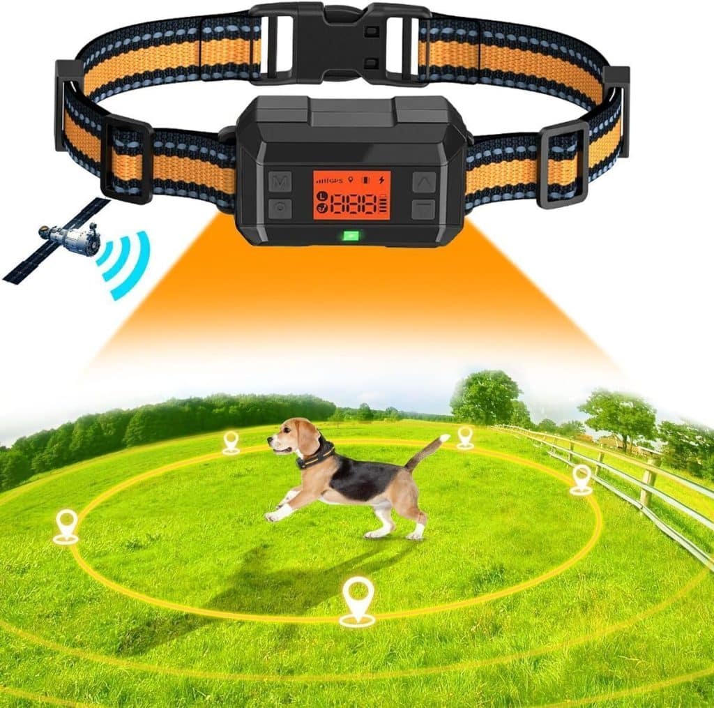 Test du collier POIIOPY anti-fugue GPS pour chien