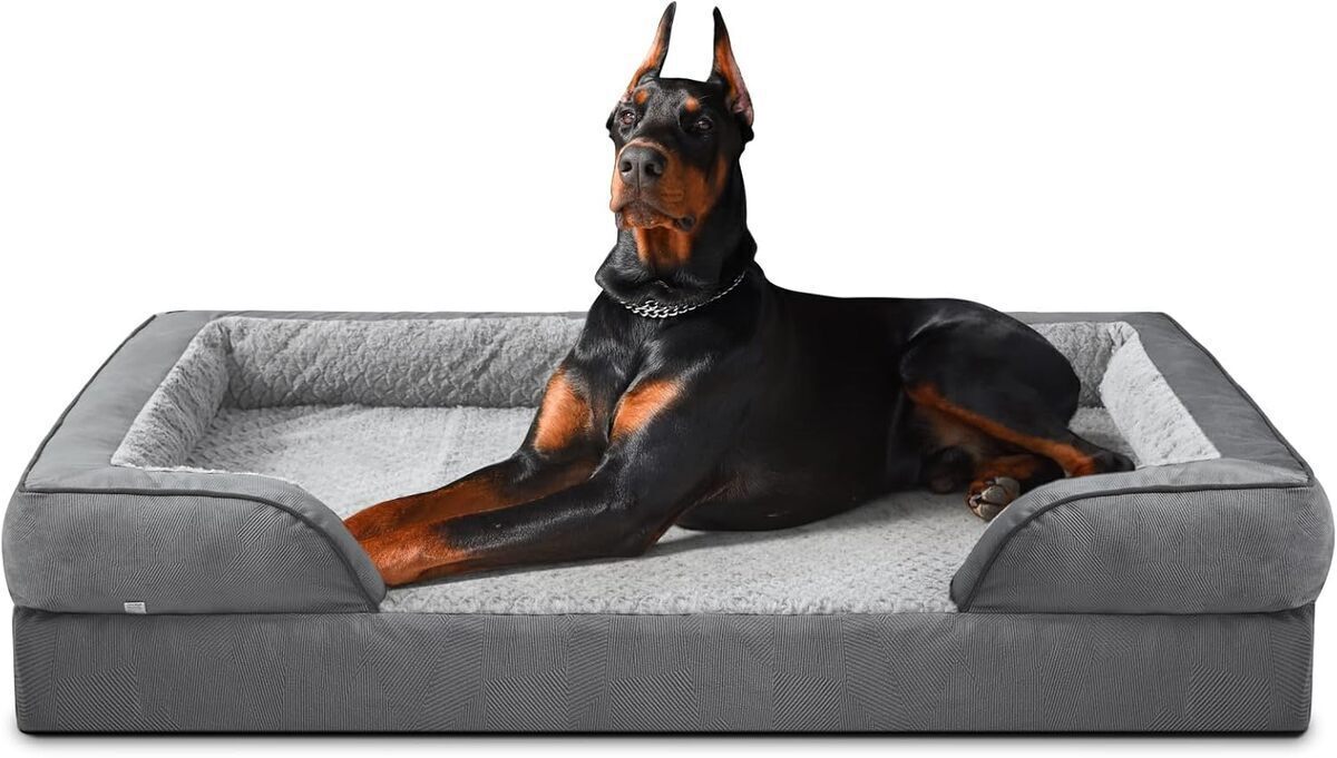 Test du lit orthopédique INVENHO pour chien XXL