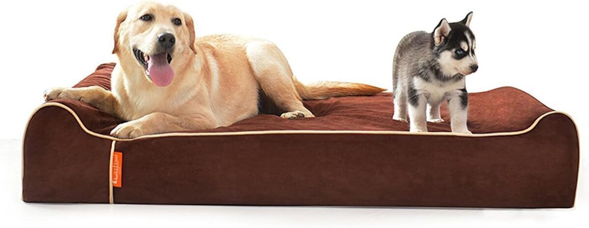 Test du lit orthopédique LaiFug pour chien : confort et durabilité