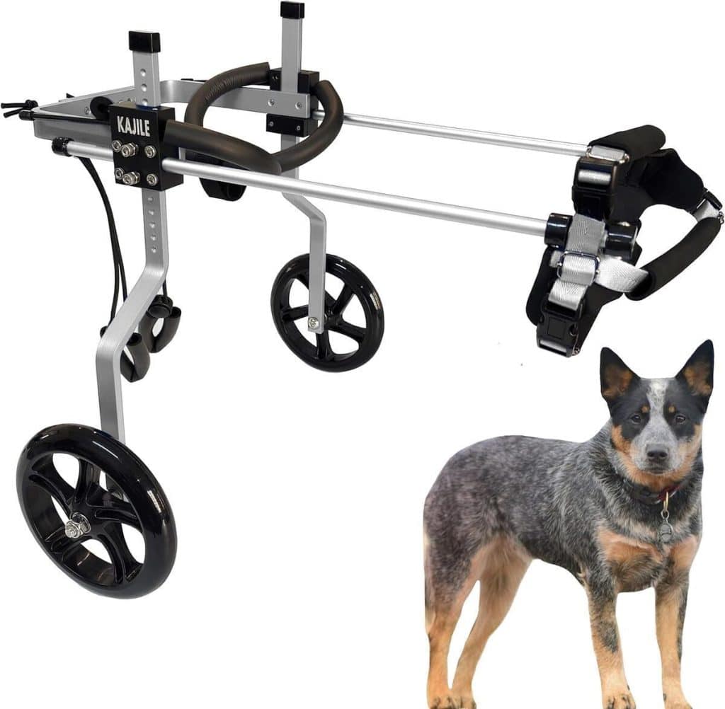 Test KAJILE : fauteuil roulant réglable pour chien taille L-3