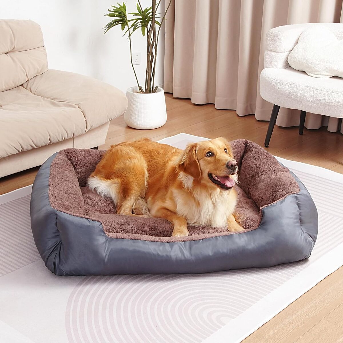 Test : lit lavable pour grands chiens
