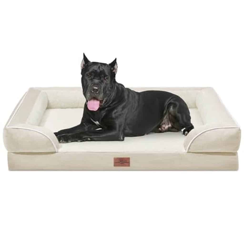 Test : lit orthopédique comfort expression xxl pour chien