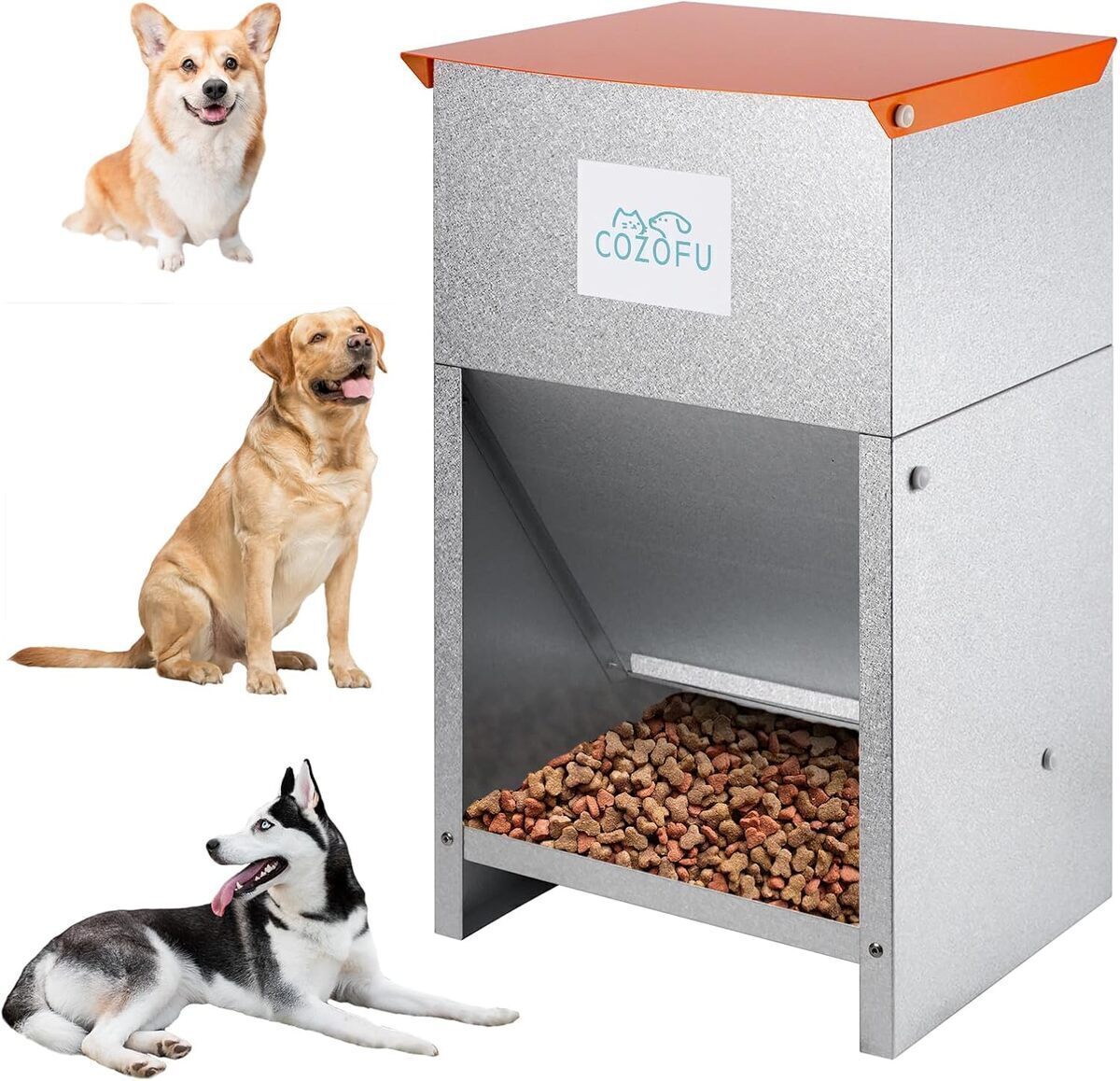 Test : mangeoire automatique COZOFU pour chiens
