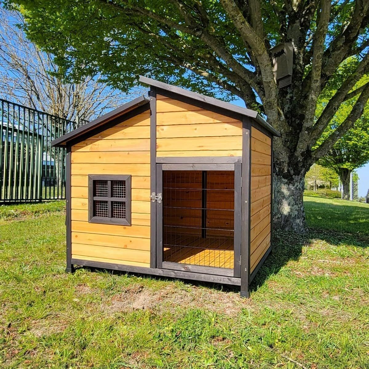 Test : niche Malinois XL avec porte sécurisée et fenêtre