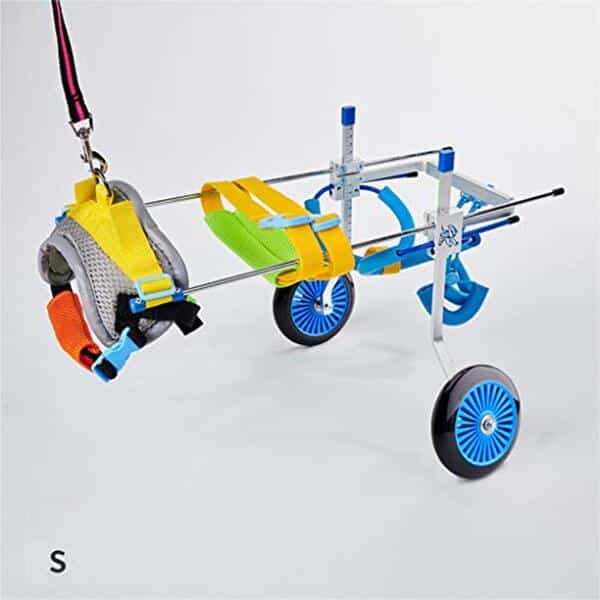 Découvrez notre test complet du fauteuil roulant pour chiens handicapés avec support ajustable. Mobilité, confort et qualité de vie pour votre animal. 