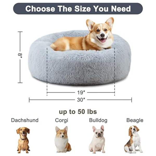 Découvrez notre test complet du panier pour chien ELSKER&HOME gris 30 pouces : confort, qualité et avis détaillés pour bien choisir le lit de votre compagnon.