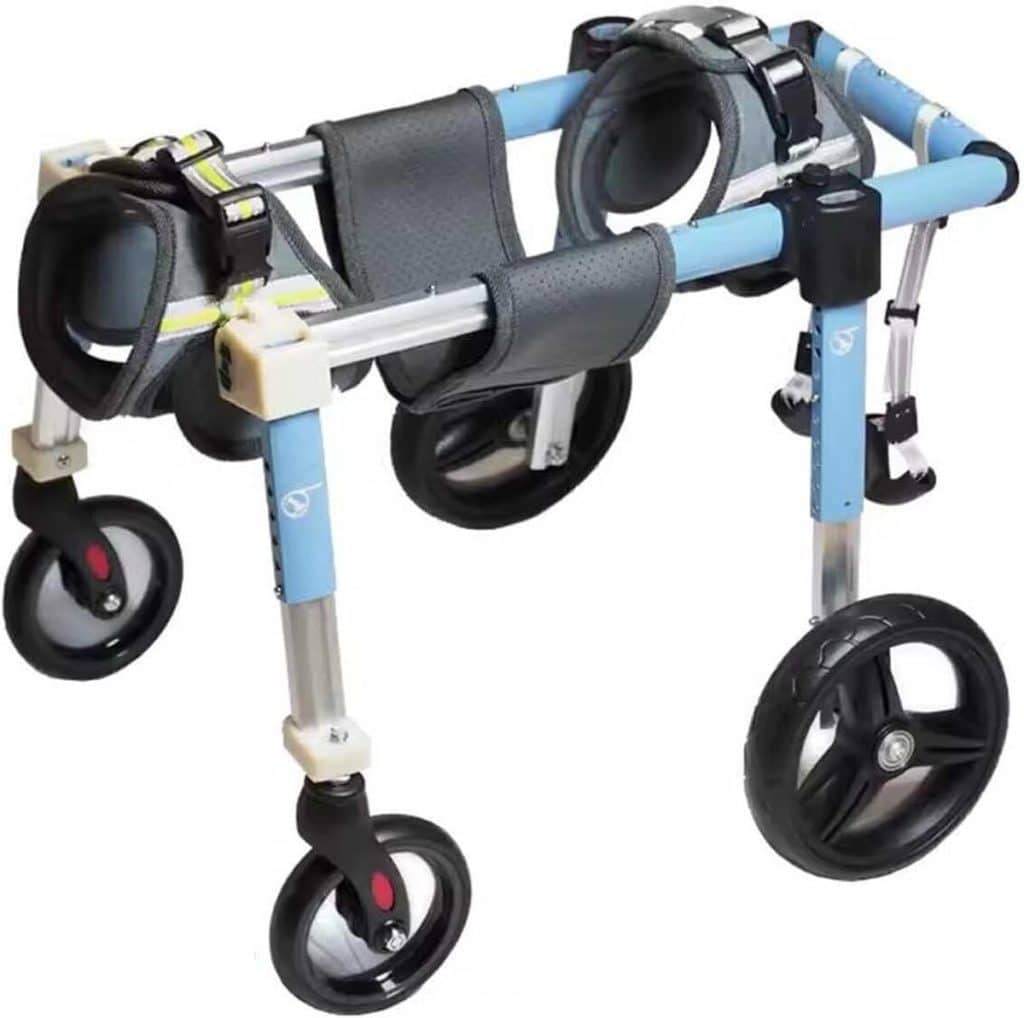 Test du chariot de mobilité en aluminium pour chien (blue, m)