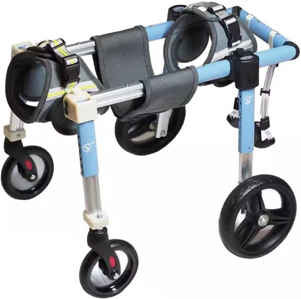 Test du chariot de mobilité en aluminium pour chien (blue, m)